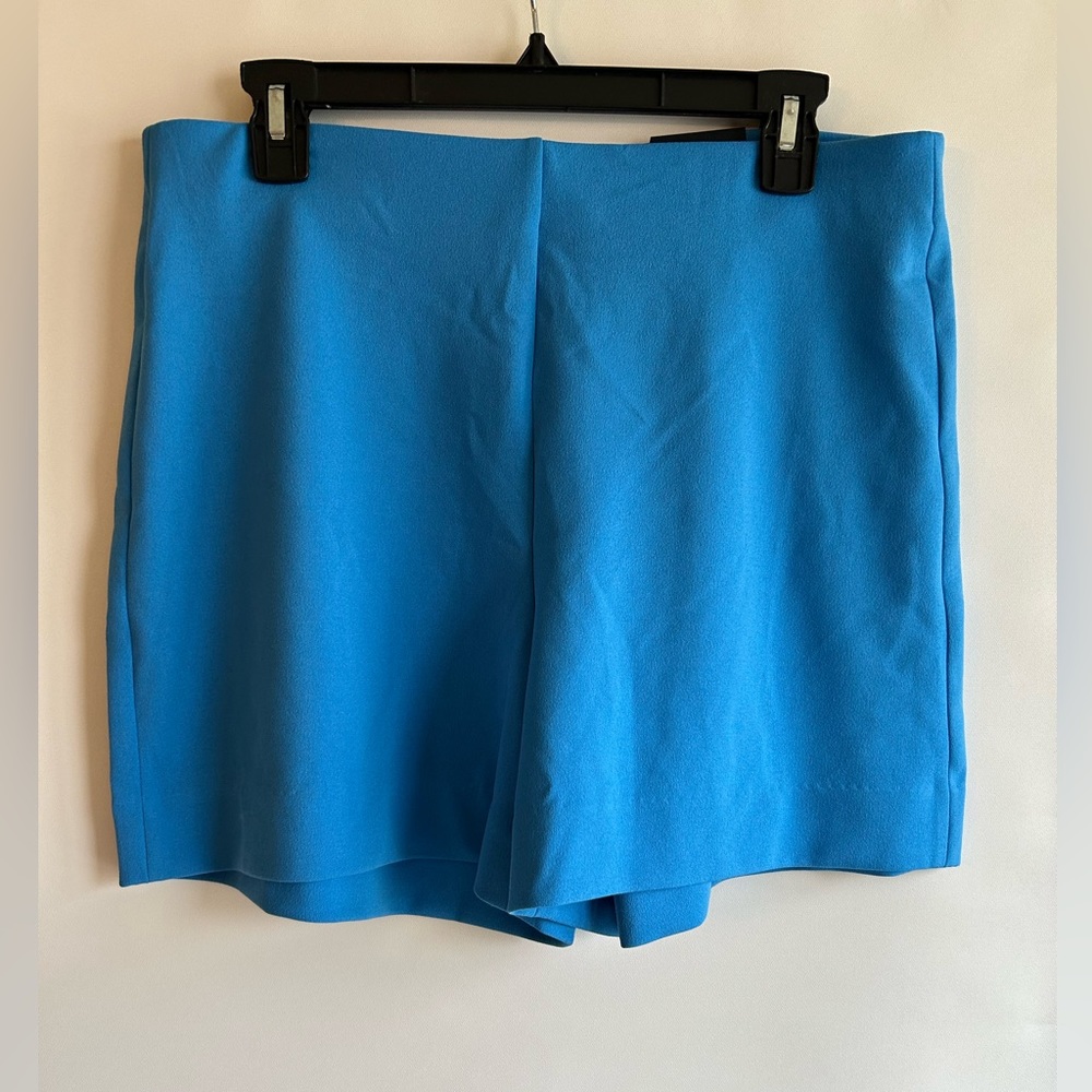SOLD - Blue Women's Shorts